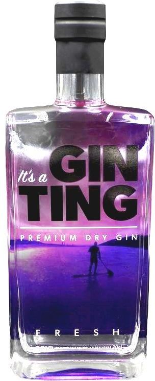 Gin Ting Premium Dry Gin 70cl